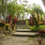 Martinique, le jardin de Balata