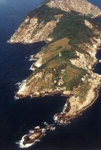 Ile de Queimada Grande au Brésil