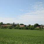 Abbaye de Citeaux